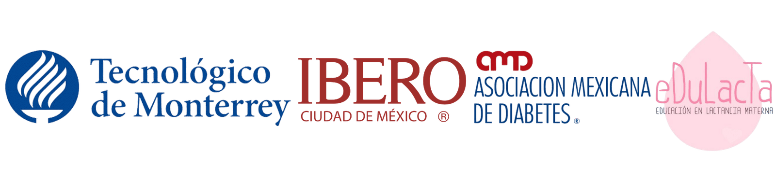 Certificaciones profesionales de Ana María Vilas: Tec de Monterrey, Ibero, Procrea, Hospital Español