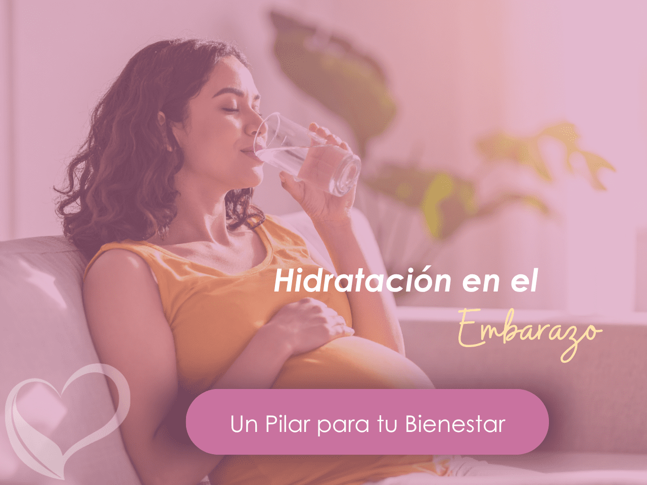 Hidratación, agua y nutrición clínica en embarazo de alto riesgo – Ana María Vilas