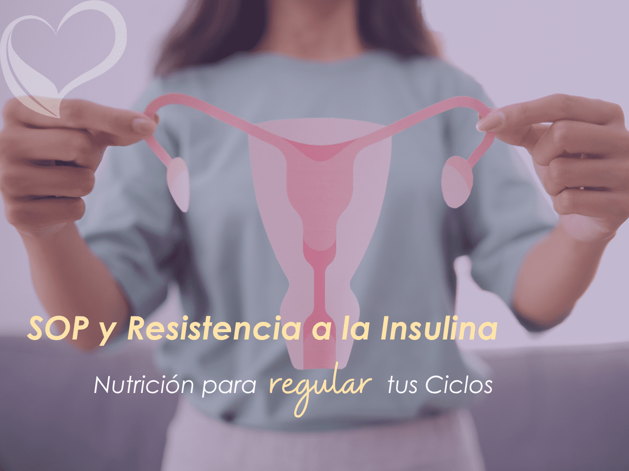 Nutrición para regular SOP y resistencia a la insulina: claves y menú – Ana María Vilas