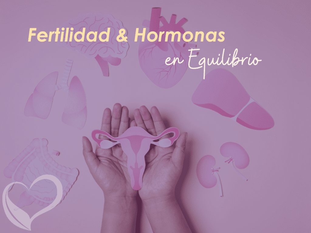 Ajustes nutricionales para fertilidad y salud hormonal Ana María Vilas